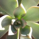 전주관광호텔 이미지