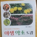 팔체질과 체질약선 이미지