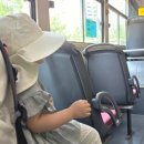 공룡과파랑새 | 나비타월드 패밀리세일 후기