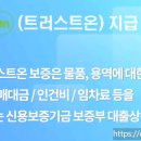 트러스트클린 이미지