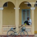유락원(요양원) 네이버블로그