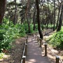 태학산자연휴양림 이미지