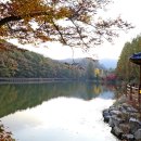 이심원충신정려현판 이미지