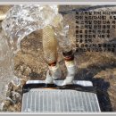 박문자동차공업사 이미지