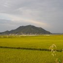 골말