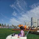 진영운동장(진영리 1347) | 김해 진영 단감축제 2025 후기