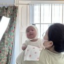 [세종] 감성더하기 산후조리원연계 50일 촬영 후기