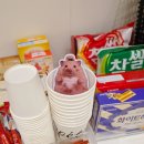 조아스토어 | 정서불안 김햄찌 팝업스토어 방문후기 포토이즘 위치