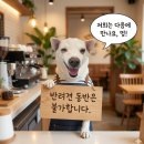 깜시네