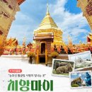 골든여행사