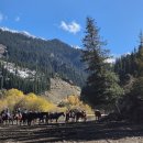 풍경 있는 호수 | 에메랄드빛 환상적인 풍경, 카자흐스탄 알마티 카인디 호수(Kaindy Lake) 현지투어 후기