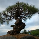 방죽골농장 이미지