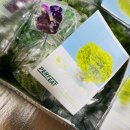 첫밀. meal | [퍼핏]유러피안샐러드채소+[아이디어스]첫밀 통밀빵..feat.내돈내산 건강식단 아이템 추천…@3월