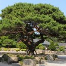 대전3리 경로당 이미지