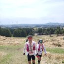 대신공원 민속예술관 옆 | 2026 파타고니아 제주 국제트레일 러닝 대회 후기