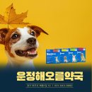 운정일번약국 이미지