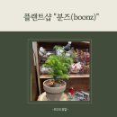 [Place #3] boonz 분즈 플랜트샵 방문 후기