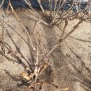 예정농장 이미지