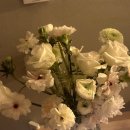 1. 신설동 마리아 산전검사, 난임검사, 나팔관 조영술 후기