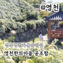 영천한의마을 기념품 | 경북 영천 가볼만한곳 한의마을 공조팝 주차 실시간