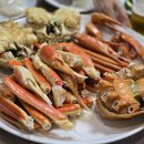 시네마 21 이미지