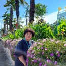 사군자 문인화 A 이미지