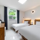 스테이 와이(Y) 이미지