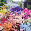 한아름 꽃 이미지