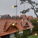 화미주아티클헤어경산NC점 이미지