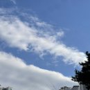 매그넘 | 밝은홀 화려한분위기 천안비렌티 웨딩홀 매그넘홀 후기