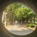 화랑공원 이미지