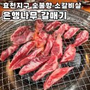 [광주] 효천지구 맛집 효천1지구 소갈비 맛집 &#34;은행나무 갈매기&#34;