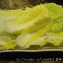 문어이야기 이미지