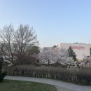 수원올림픽공원 테니스장