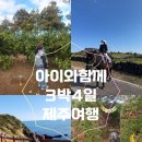 7살아이랑 제주도3박4일 코스완벽정리✈️여행지 코스 맛집 추천👍