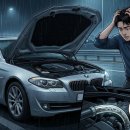 최선커먼레일 | [BMW 쇳가루 수리비] 고압펌프 고장 시 비용 절감하는 정비 꿀팁 (feat. 행진커먼레일)