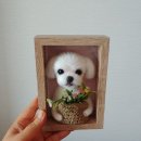 쁘띠댕댕 이미지