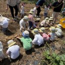 지혜농장 이미지