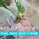 지랩 | 내돈내산] 크레스티드 게코 도마뱀 슈퍼푸드 추천 : 녹십자 지랩 인섹트, 무화과, 용과 맛 다 먹여 본 후기