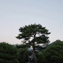 설악. 신흥사 풍경 이미지