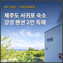 해걸음 1067펜션 | 제주도 서귀포 숙소 제주 감성 펜션 2인 독채 후기