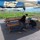 도촌 2농장 이미지