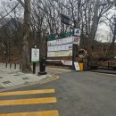 강아지와고양이 | 중흥사┃북한산 템플스테이 1박2일 혼자 다녀온 후기 (feat. 강아지와 고양이들)