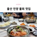 강동참가자미 이미지