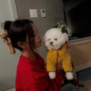 티아라펫 이미지