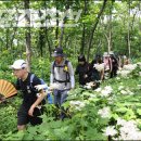 청태산그린 이미지