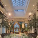 씨유현대춘천제일점 | 춘천웨딩홀 미래컨벤션 투어 꼼꼼 후기