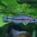 고래의꿈 수족관 이미지