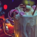 라이언 휘트니스 이미지