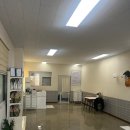 스프링댕댕 이미지